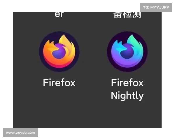 如何充分发挥火狐浏览器最新功能提升上网效率与安全性